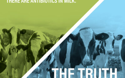 Fear Not! The Milk You Drink Contains NO Antibiotics.