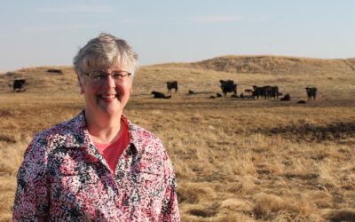 How We Care for the Land and Cattle