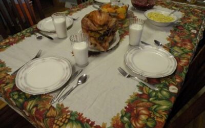 Let’s Talk Turkey! Five Facts to Share at your Thanksgiving Table