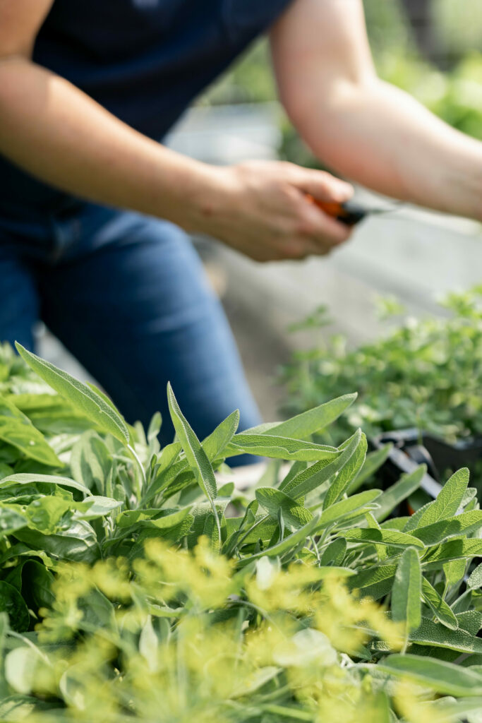 Woman gardening