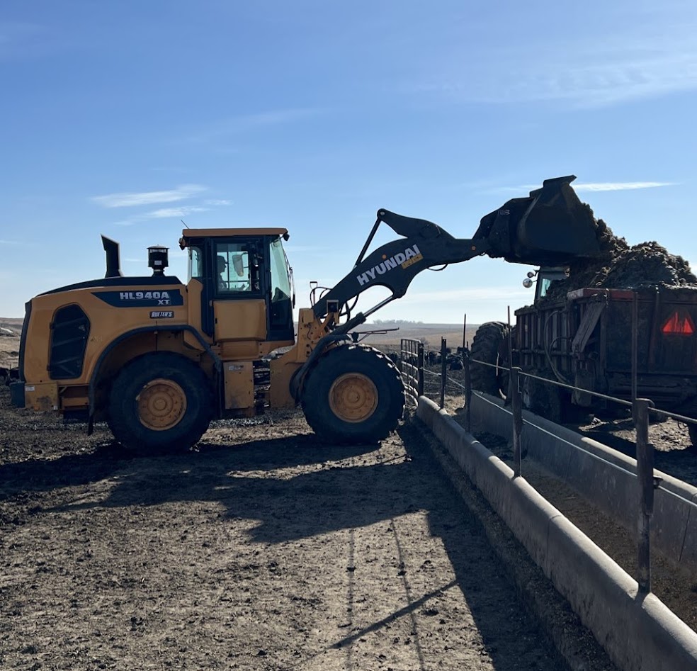 Tractor loading manure from cattle pen into wagon