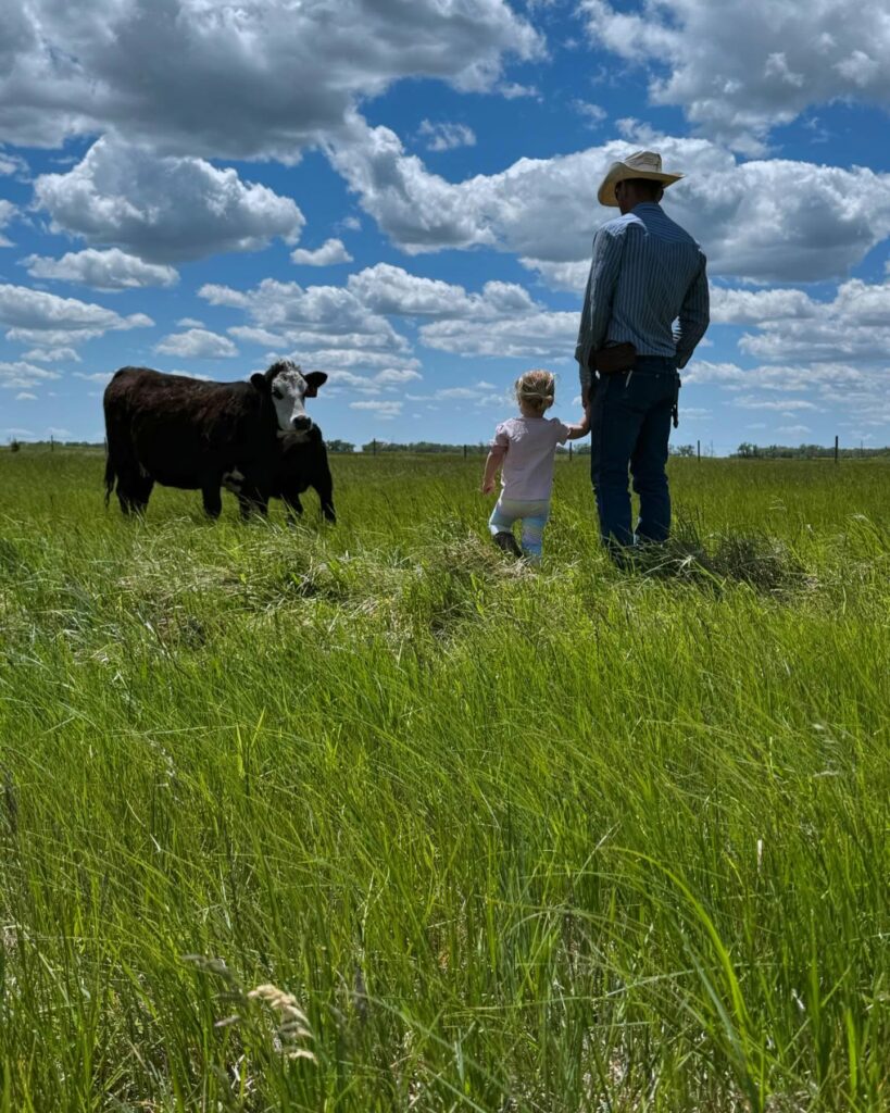 A farmer and his child walk in a pasture towards cows